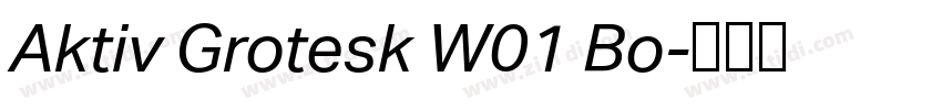 Aktiv Grotesk W01 Bo字体转换